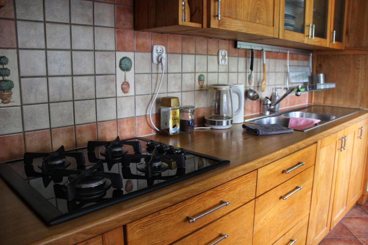 Apartamenty I Pokoje U Staszelow โปโรนิน ภายนอก รูปภาพ