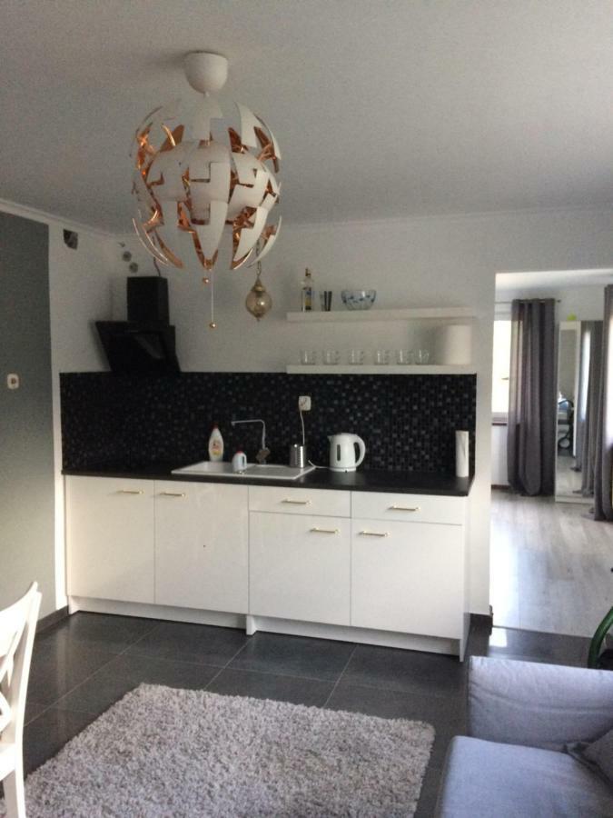 Apartamenty I Pokoje U Staszelow โปโรนิน ภายนอก รูปภาพ